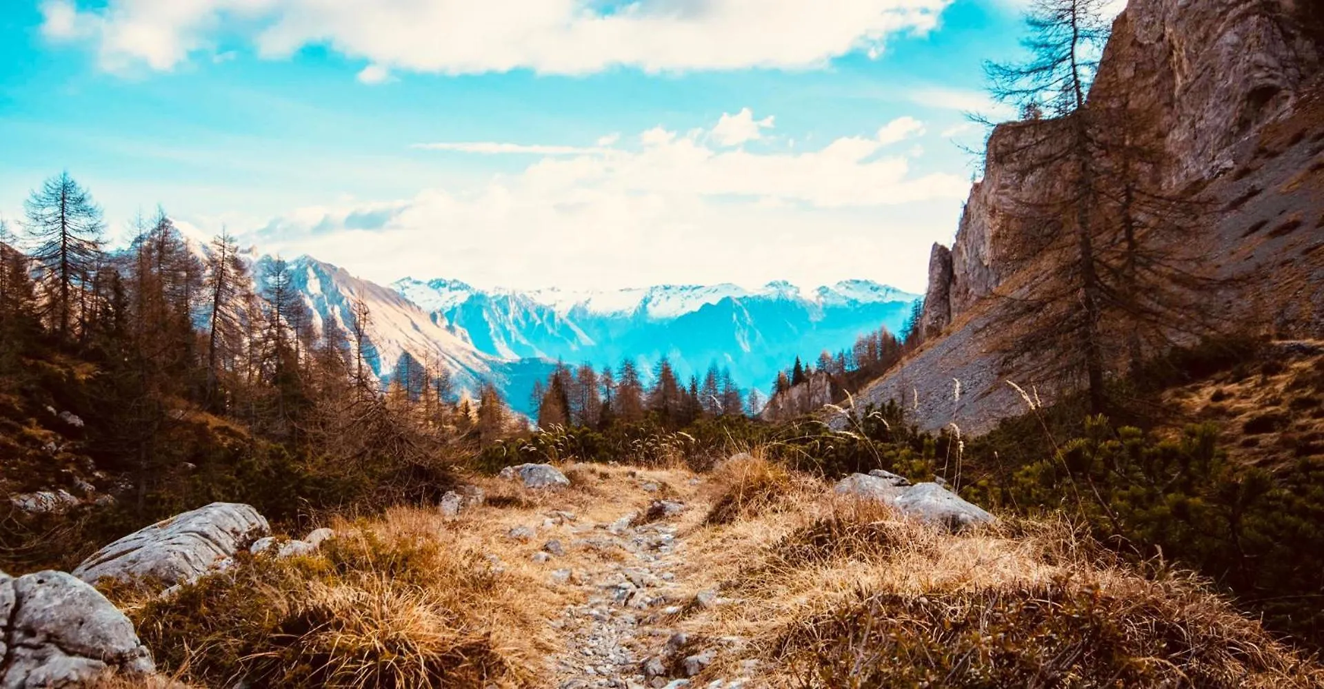 Residenza Esclusiva Vista Montagna, Ideale Per Famiglie Borno 0*,  Italia
